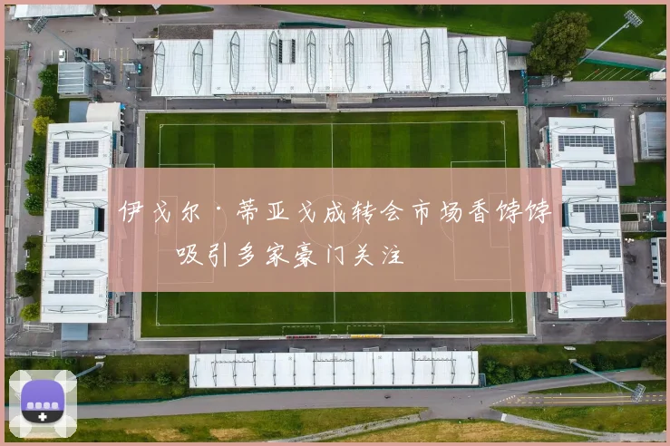 伊戈尔·蒂亚戈成转会市场香饽饽，吸引多家豪门关注