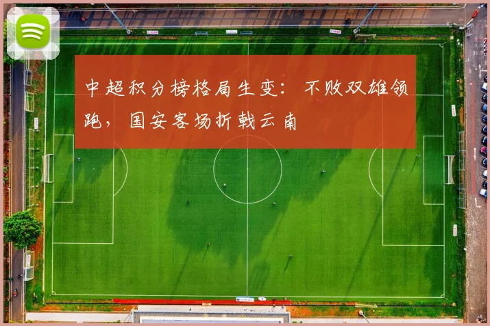 中超积分榜格局生变：不败双雄领跑，国安客场折戟云南